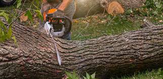 Best Lawn Drainage Solutions  in Temple City, CA